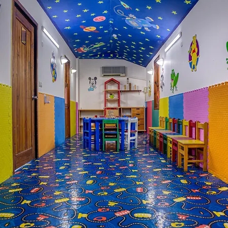 Sealife Buket & Okurcalar